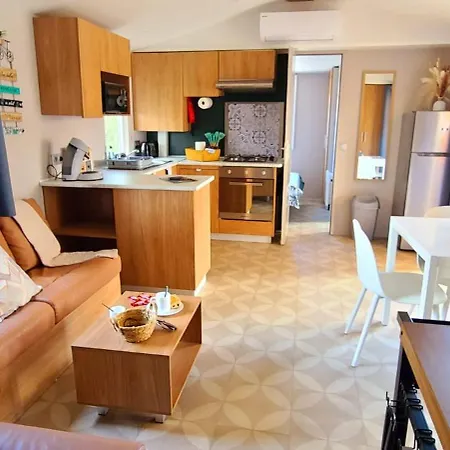 Mobil-home Le Cocon Fun Pass Non Inclus キャンプ場 *